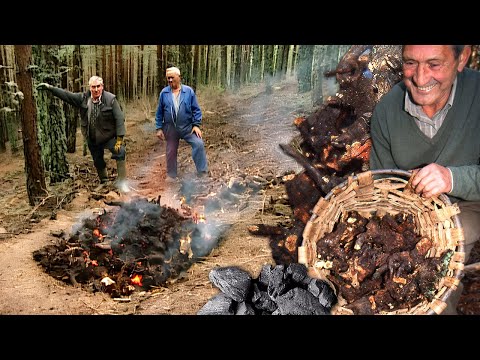 Видео: Лесные синицы. Карбонизация корней вереска для использования в качестве топлива