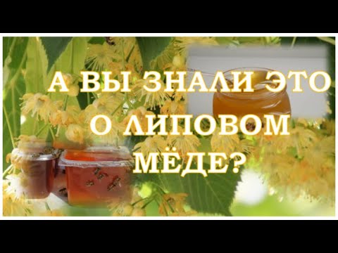 Видео: Липовый мёд