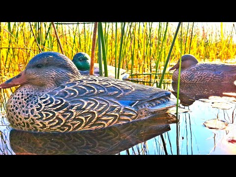 Видео: МЕЧТА КАЖДОГО ОХОТНИКА ЭТОТ УТИНЫЙ РАЙ. Охота на утку. 