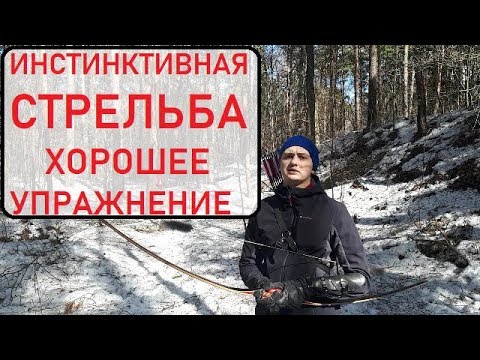 Видео: Инстинктивная стрельба из лука  Упражнение на меткость