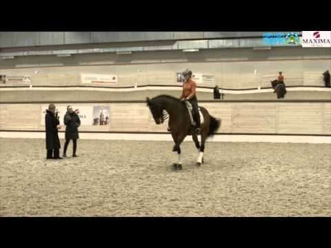 Видео: Семинар по выездке (Катрина Вюст) @ Maxima Stables 2