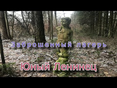 Видео: Заброшенный лагерь Юный Ленинец