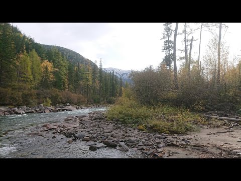 Видео: Прекрасная река зародившаяся в горах Восточного Саяна. (часть вторая, тиши)