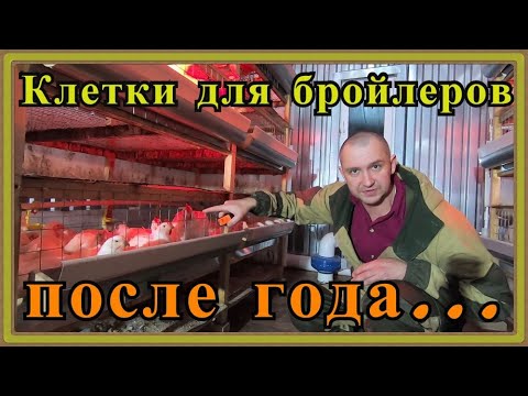 Видео: Клетка для бройлеров после года эксплуатации