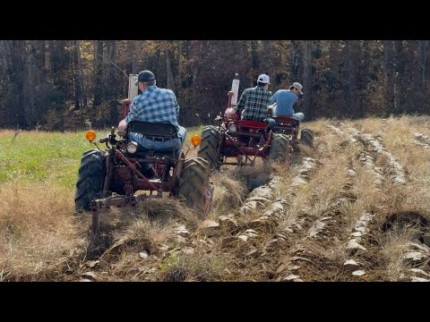 Видео: День мини-плуга с мальчиками