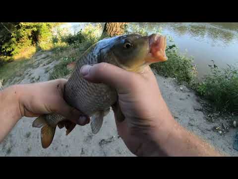 Видео: Рыбалка Турунчук тракторная бригада с. Яськи /Рыбалка 2021 /Рыбалка с ночевкой на реке / My fishing