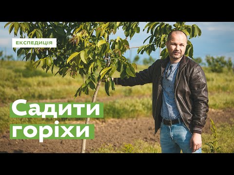 Видео: Сажать орехи · Ukraїner