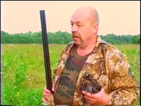 Видео: Охота на тетерева. Осень.