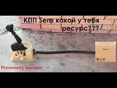Видео: КАК ПРОДЛИТЬ ЖИЗНЬ  КОРОБКЕ СЕНС?