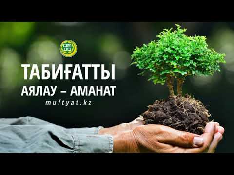 Видео: "Үздік эко-волонтер" байқауы