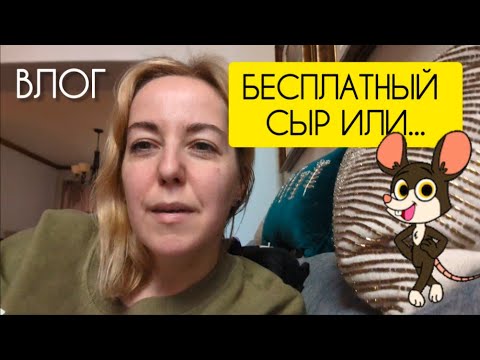 Видео: ВЛОГ: Люксовые вещи на вынос - КАК?! / Обувь - как искусство! / Уютный влог из Айдахо