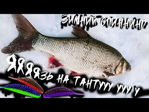 Видео: Ловля Язя в феврале. Микроджиг на теплой зимней реке.