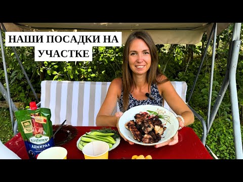 Видео: НАШИ ПОСАДКИ/ ЧТО ВЫРОСЛО, А ЧТО НЕТ? ЖАРИМ ШАШЛЫК НА УЧАСТКЕ/ Нижний Новгород