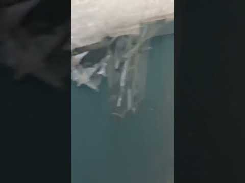 Видео: Очередной Tektronix….. плохо что не рабочий