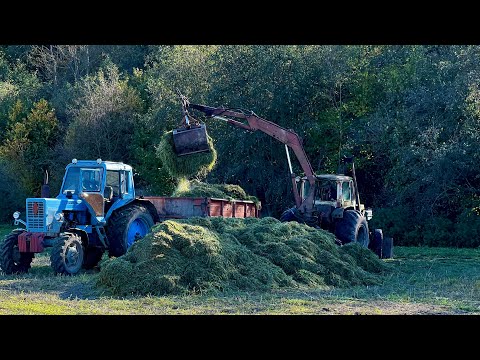 Видео: Як правильно зберегти силос до ВЕСНИ!!!