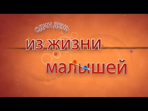Видео: Один день из жизни малышей