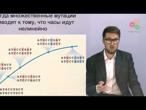 Видео: Введение. Генетика популяций. Нейтральная эволюция (без музыки)
