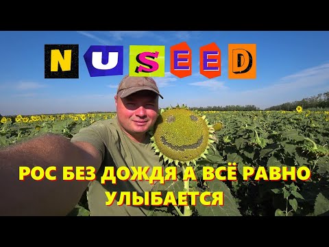 Видео: ВИДЫ НА ОСЕННИЙ УРОЖАЙ 2024 / ЧТО БОГ ДАЛ ТОМУ И РАДЫ / ЭТО ВАМ НЕ ЭТО И ДАЖЕ НЕ ТО )))