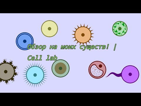 Видео: Обзор на моих существ! | Cell lab #celllab