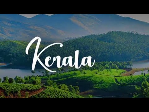 Видео: ПАНЧАКАРМА В КЕРАЛЕ, КЛИНИКА РАДЖА