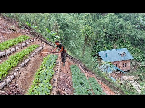 Видео: Полное видео: Садоводство в горах. Выращивание окры, тыквы и сбор дынь - Т. А. Бушкрафт