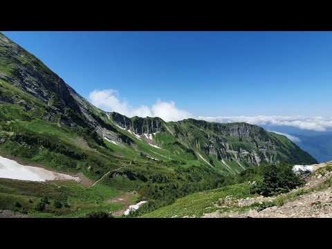 Видео: АЛЬПИЙСКИЕ ЛУГА в Сочи ПЕШАЯ ПРОГУЛКА высота 2,2 километра, Горки Город, Цирк 1, Красная поляна,