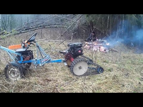 Видео: Прогулочка в ЛЕС на КАРТОШКУ
