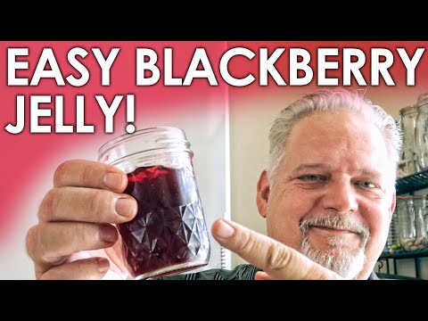 Видео: ЛЕГКОЕ ежевичное желе! Оно ЛУЧШЕЕ! || Чёрный гамбо