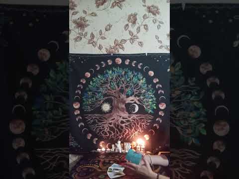 Видео: ⚡ТАРО ДЛЯ МУЖЧИН. Что необычного будет происходить в ноябре месяце#мысличувствадействия #tarot 
