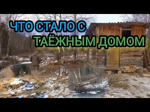 Видео: Что стало с таёжным домом после половодья