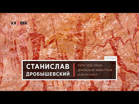 Видео: Станислав Дробышевский: Культура, язык, домашние животные и интеллект