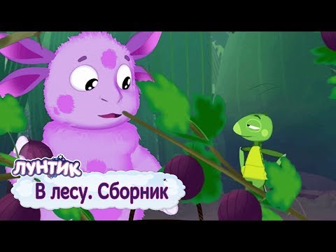 Видео: В лесу | Лунтик | Сборник мультфильмов для детей