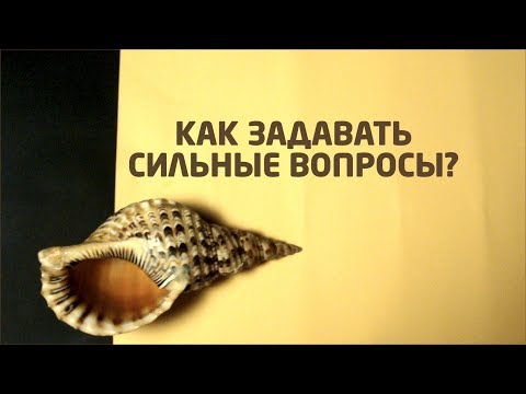 Видео: ТВОРЧЕСТВО: ВОПРОС - ОТВЕТ