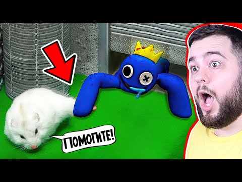 Видео: ХОМЯК ПРОТИВ СИНЕГО ДРУГА 🐹🔪 РАДУЖНЫЕ ДРУЗЬЯ ROBLOX