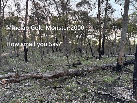 Видео: Minelab Gold Monster 2000 — Насколько маленький, вы сказали?
