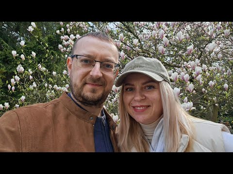 Видео: Гданьск. Парк Оливский. Oliwski Park. Gdańsk. Цветут магнолии