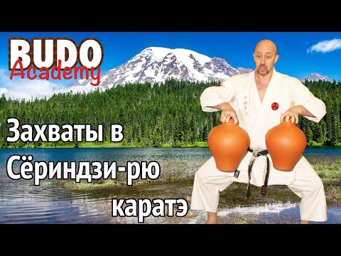 Видео: Захваты в Сёриндзи-рю каратэ. Николай Коровин