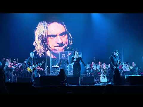 Видео: Северный Флот - Счастье (Live Новосибирск 2025)