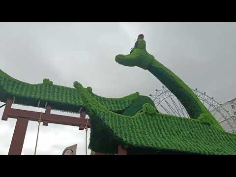 Видео: Город Янцзы (прибытие, корейская этническая деревня)