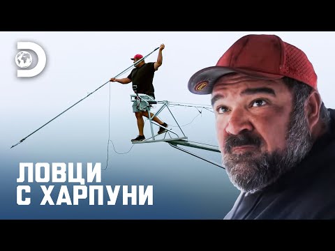 Видео: Вълнуващо преследване на синята риба тон | Ловци с харпуни