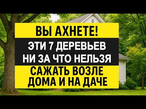 Видео: Вы ахнете! 7 деревьев, никогда нельзя сажать возле дома, дачи: приносят болезни и отнимают достаток!