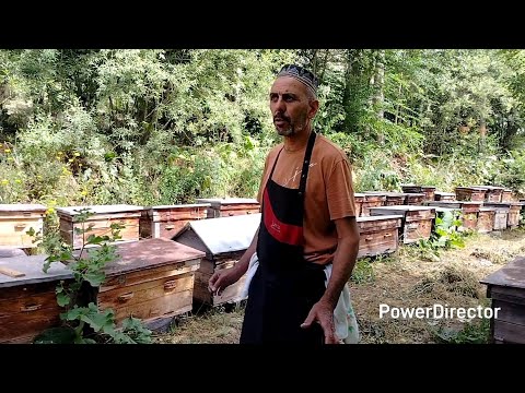 Видео: 28 июня 2025 г.alivvza Маъракаи туй ва Ошпази Нуми Дар Н Сангвор Собик тавилдара Бобои Хочи Хоча