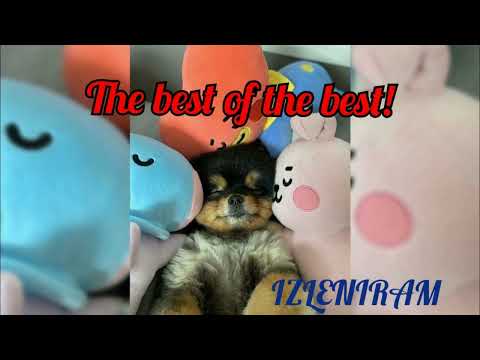 Видео: The best of the best/Изленирам/Записки инсайдера