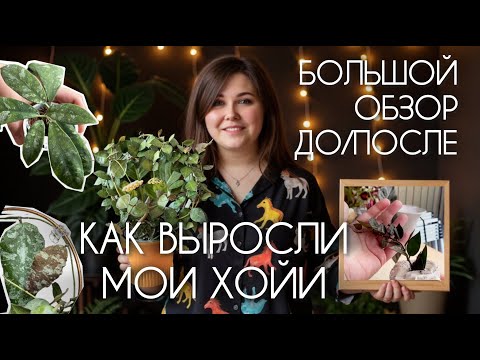 Видео: БОЛЬШОЙ ОБЗОР всех моих ХОЙ I БЫЛО/СТАЛО