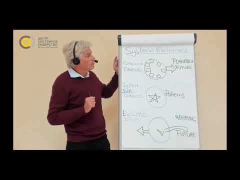 Видео: Суть системного подхода за 10 минут. Ян Якоб Стам.