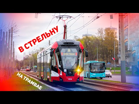 Видео: На трамвае в Стрельну! Единственный пригородный маршрут в Петербурге!