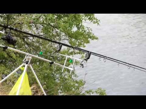 Видео: Ловля толстолоба со дна(Дневник рыболова)