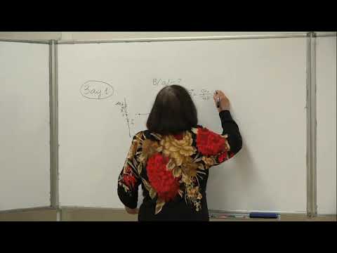 Видео: Васильева О. Н. - Электромагнетизм. Семинары - 12. Магнитные поля проводников с током