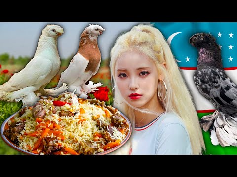 Видео: 100% Натуральные Узбекские без Сахара | Двухчубые голуби. Tauben. Pigeons. Palomas. Pombos. 비둘기.
