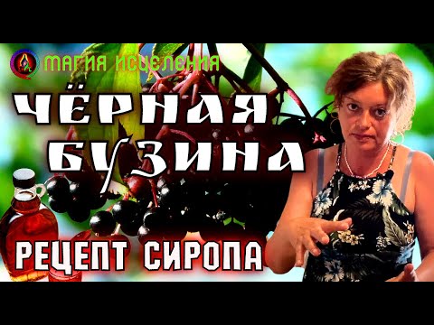 Видео: Чёрная Бузина, рецепт сиропа | Как сделать сироп из бузины, бузина черная польза и вред